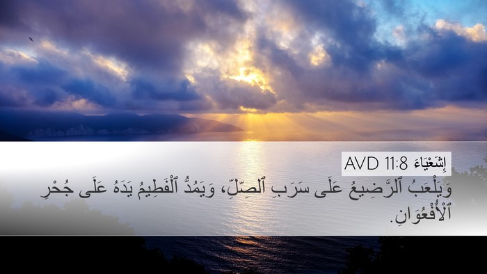 إِشَعْيَاءَ 11:8 AVD Bible Verse Image