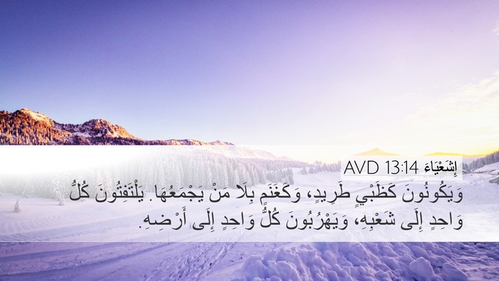 إِشَعْيَاءَ 13:14 AVD Bible Verse Image