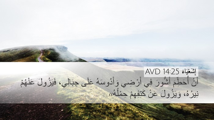 إِشَعْيَاءَ 14:25 AVD Desktop Wallpaper - أَنْ أُحَطِّمَ أَشُّورَ - Desktop Bible Verse Wallpaper