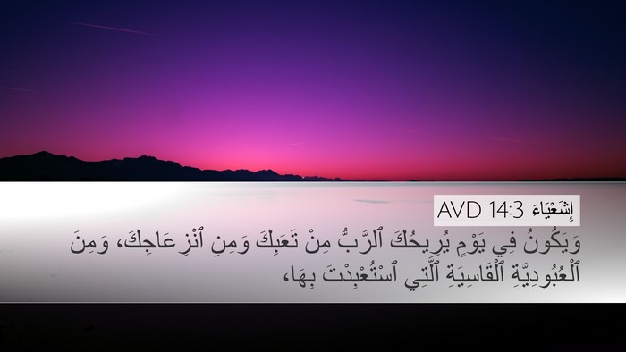 إِشَعْيَاءَ 14:3 AVD Desktop Wallpaper - وَيَكُونُ فِي يَوْمٍ - Desktop Bible Verse Wallpaper