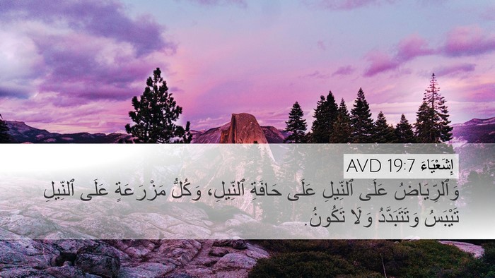 إِشَعْيَاءَ 19:7 AVD Desktop Wallpaper - وَٱلرِّيَاضُ عَلَى - Desktop Bible Verse Wallpaper