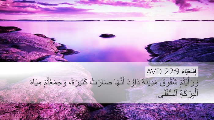 إِشَعْيَاءَ 22:9 AVD Bible Verse Image