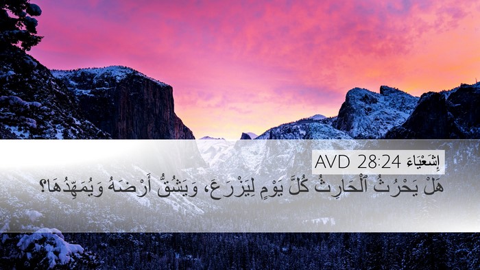 إِشَعْيَاءَ 28:24 AVD Bible Verse Image