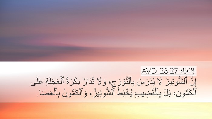 إِشَعْيَاءَ 28:27 AVD Bible Verse Image