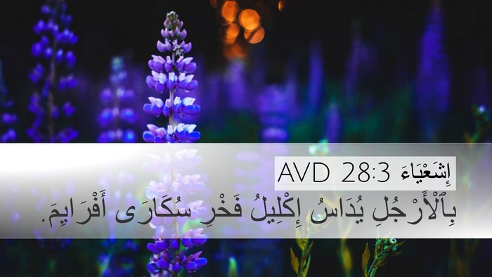 إِشَعْيَاءَ 28:3 AVD Bible Verse Image