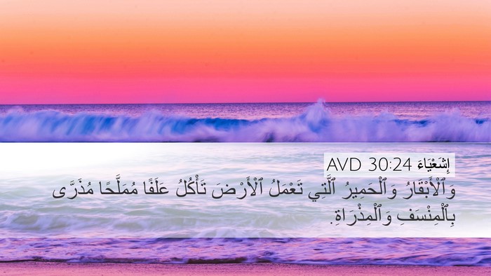إِشَعْيَاءَ 30:24 AVD Desktop Wallpaper - وَٱلْأَبْقَارُ - Desktop Bible Verse Wallpaper