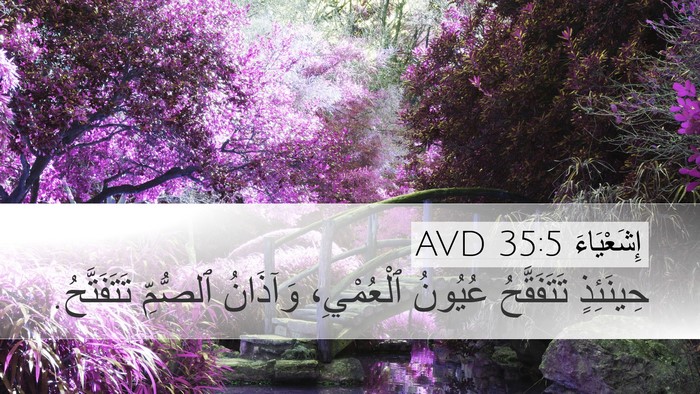 إِشَعْيَاءَ 35:5 AVD Bible Verse Image