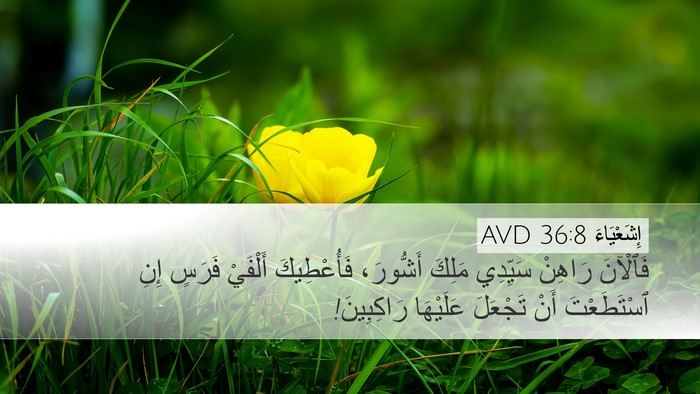 إِشَعْيَاءَ 36:8 AVD Bible Verse Image