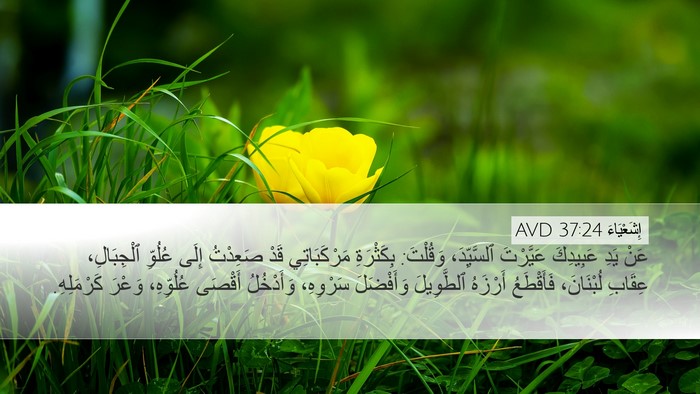 إِشَعْيَاءَ 37:24 AVD Bible Verse Image