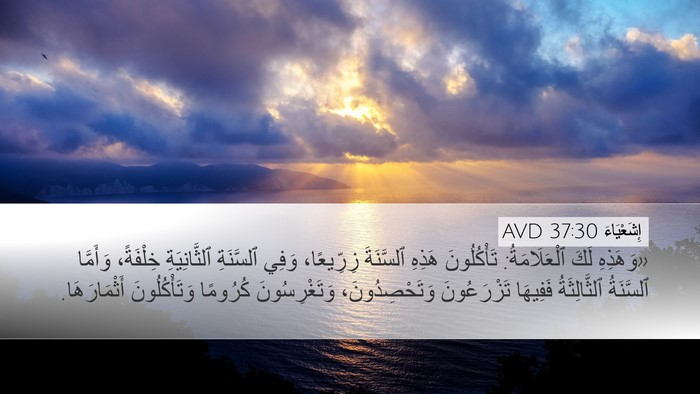 إِشَعْيَاءَ 37:30 AVD Bible Verse Image