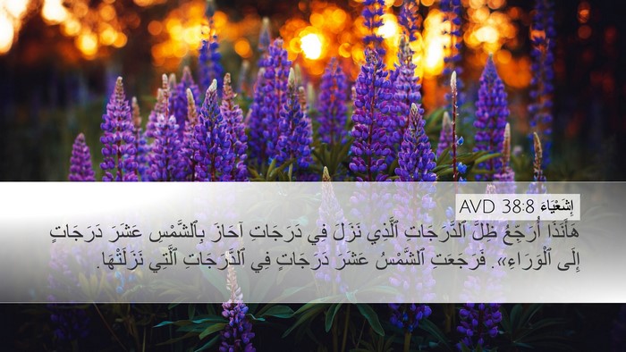 إِشَعْيَاءَ 38:8 AVD Bible Verse Image