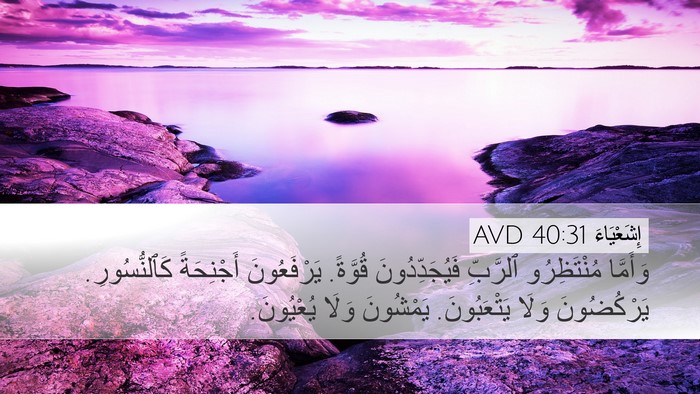 إِشَعْيَاءَ 40:31 AVD Bible Verse Image