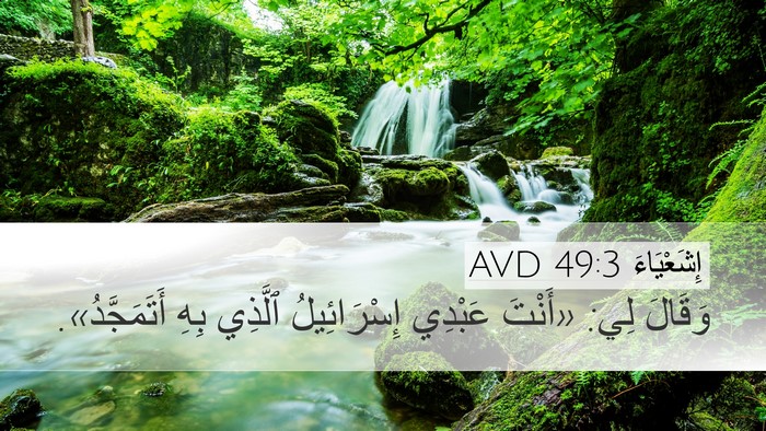 إِشَعْيَاءَ 49:3 AVD Bible Verse Image