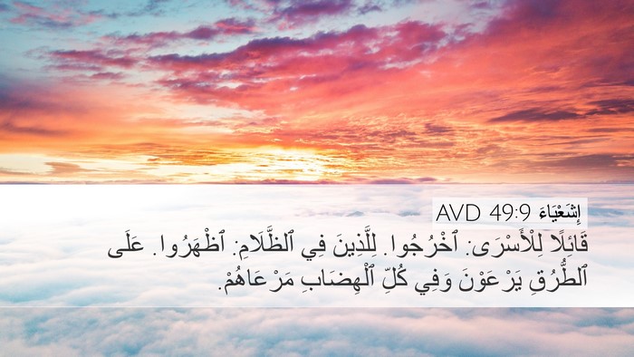 إِشَعْيَاءَ 49:9 AVD Bible Verse Image