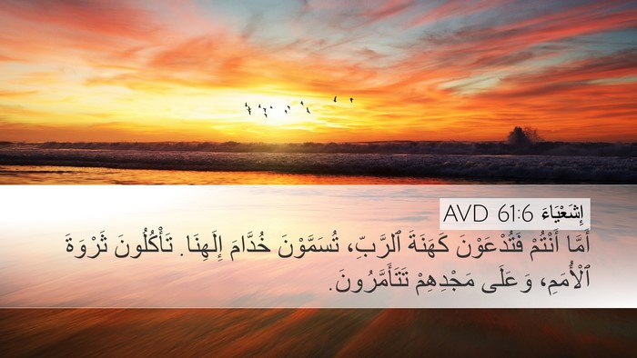 إِشَعْيَاءَ 61:6 AVD Bible Verse Image