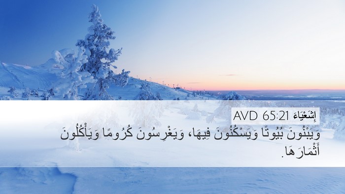 إِشَعْيَاءَ 65:21 AVD Bible Verse Image