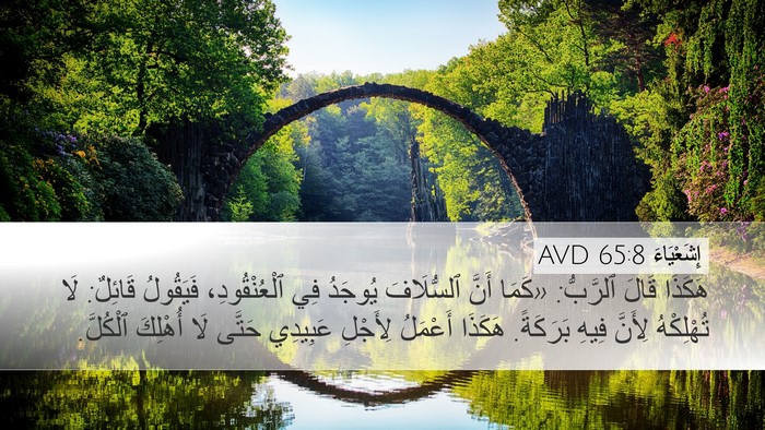 إِشَعْيَاءَ 65:8 AVD Bible Verse Image