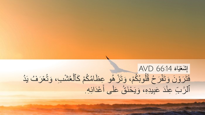 إِشَعْيَاءَ 66:14 AVD Bible Verse Image