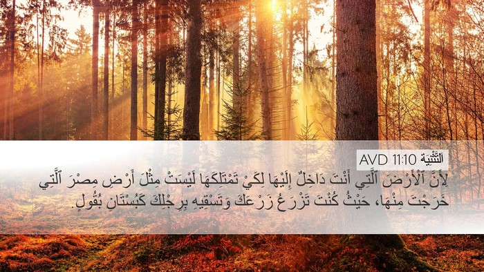 اَلتَّثْنِيَة 11:10 AVD Bible Verse Image