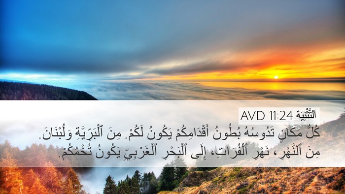 اَلتَّثْنِيَة 11:24 AVD Bible Verse Image