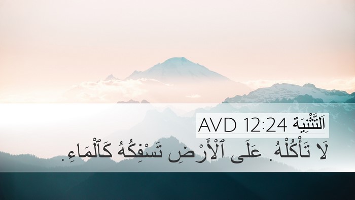 اَلتَّثْنِيَة 12:24 AVD Bible Verse Image