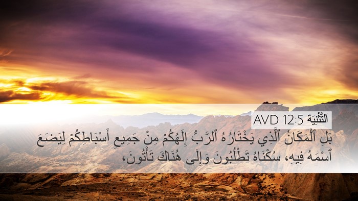 اَلتَّثْنِيَة 12:5 AVD Bible Verse Image