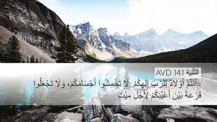 اَلتَّثْنِيَة 14:1 AVD Bible Verse Image