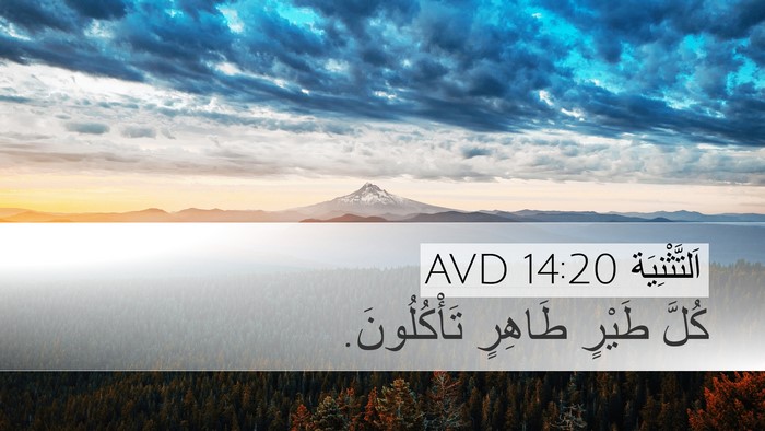 اَلتَّثْنِيَة 14:20 AVD Desktop Wallpaper - كُلَّ طَيْرٍ طَاهِرٍ - Desktop Bible Verse Wallpaper