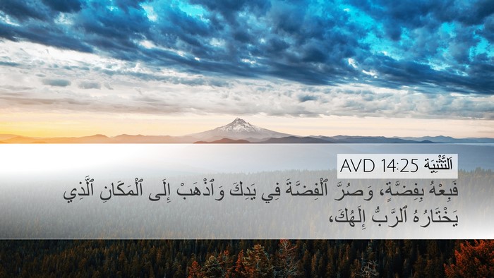 اَلتَّثْنِيَة 14:25 AVD Desktop Wallpaper - فَبِعْهُ بِفِضَّةٍ، - Desktop Bible Verse Wallpaper