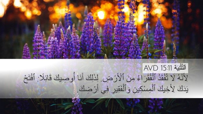اَلتَّثْنِيَة 15:11 AVD Bible Verse Image