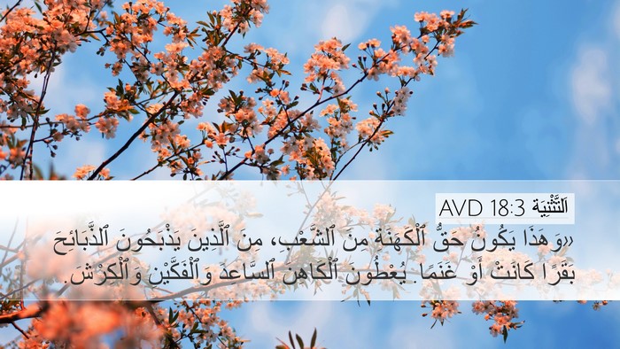 اَلتَّثْنِيَة 18:3 AVD Bible Verse Image