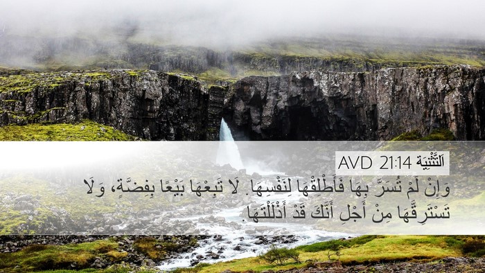 اَلتَّثْنِيَة 21:14 AVD Bible Verse Image