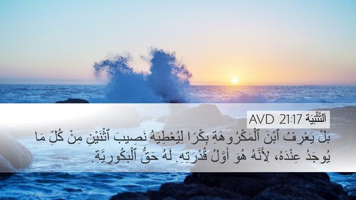 اَلتَّثْنِيَة 21:17 AVD Bible Verse Image