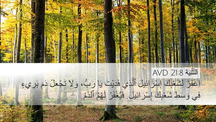 اَلتَّثْنِيَة 21:8 AVD Desktop Wallpaper - اِغْفِرْ لِشَعْبِكَ - Desktop Bible Verse Wallpaper