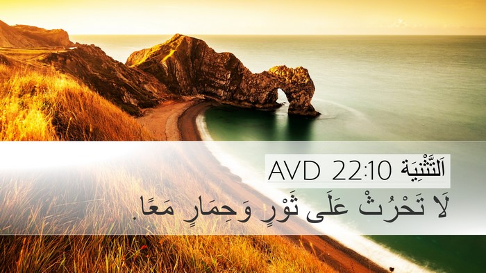 اَلتَّثْنِيَة 22:10 AVD Desktop Wallpaper - لَا تَحْرُثْ عَلَى ثَوْرٍ - Desktop Bible Verse Wallpaper