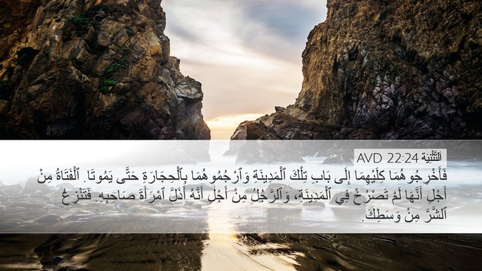 اَلتَّثْنِيَة 22:24 AVD Bible Verse Image