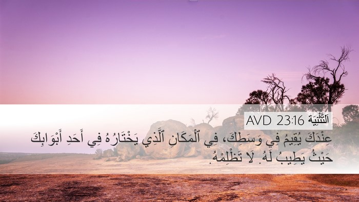 اَلتَّثْنِيَة 23:16 AVD Desktop Wallpaper - عِنْدَكَ يُقِيمُ فِي - Desktop Bible Verse Wallpaper