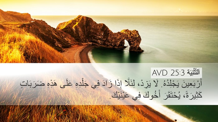 اَلتَّثْنِيَة 25:3 AVD Desktop Wallpaper - أَرْبَعِينَ يَجْلِدُهُ. - Desktop Bible Verse Wallpaper
