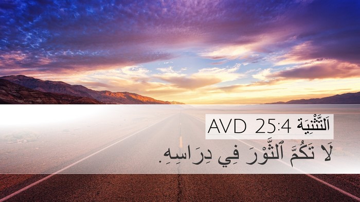 اَلتَّثْنِيَة 25:4 AVD Bible Verse Image