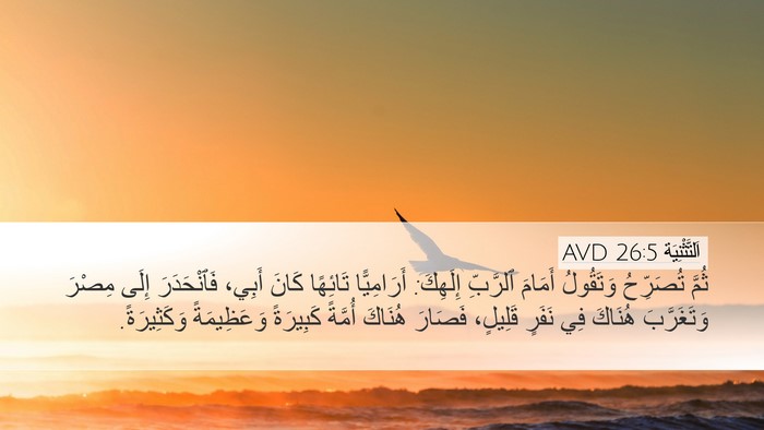 اَلتَّثْنِيَة 26:5 AVD Bible Verse Image
