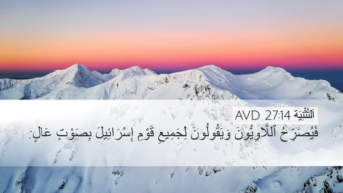 اَلتَّثْنِيَة 27:14 AVD Desktop Wallpaper - فَيُصَرِّحُ - Desktop Bible Verse Wallpaper