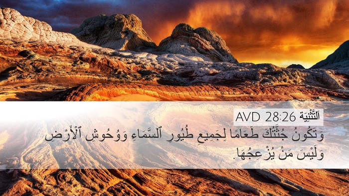 اَلتَّثْنِيَة 28:26 AVD Bible Verse Image