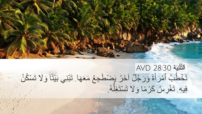 اَلتَّثْنِيَة 28:30 AVD Bible Verse Image