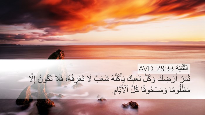 اَلتَّثْنِيَة 28:33 AVD Bible Verse Image