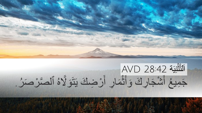 اَلتَّثْنِيَة 28:42 AVD Bible Verse Image