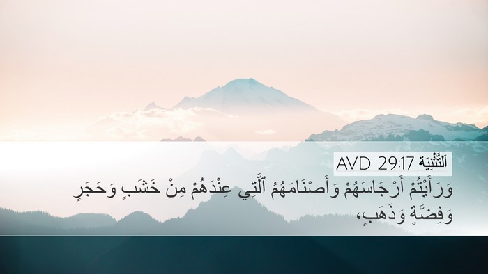 اَلتَّثْنِيَة 29:17 AVD Desktop Wallpaper - وَرَأَيْتُمْ - Desktop Bible Verse Wallpaper