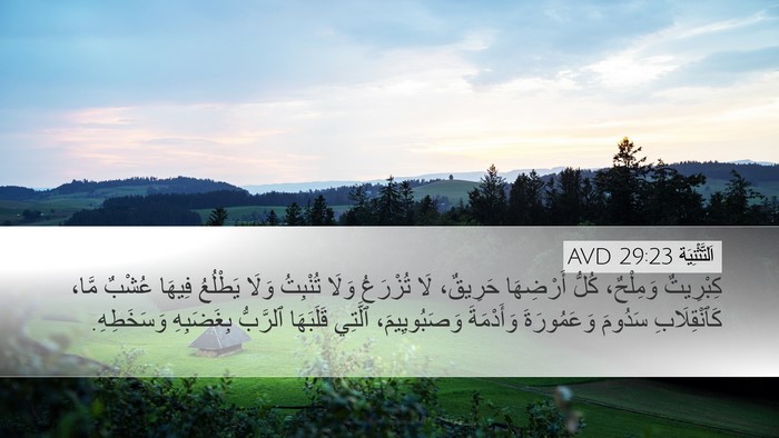 اَلتَّثْنِيَة 29:23 AVD Bible Verse Image