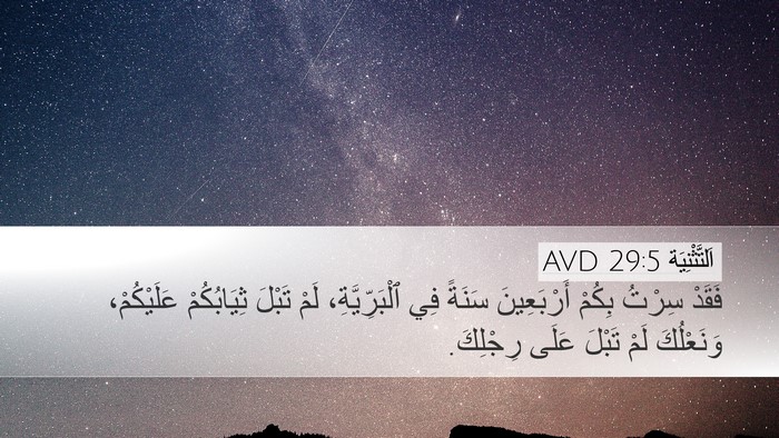 اَلتَّثْنِيَة 29:5 AVD Bible Verse Image