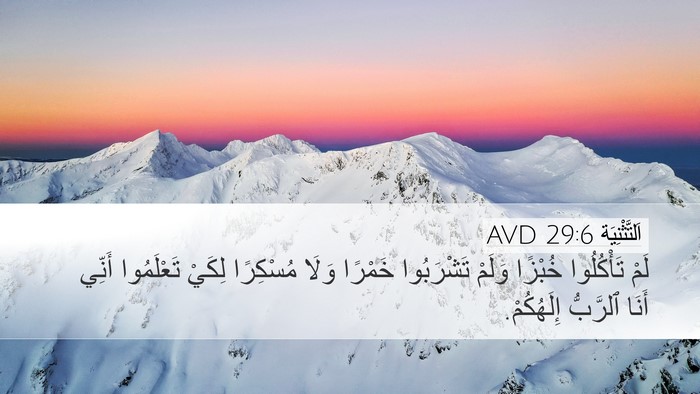 اَلتَّثْنِيَة 29:6 AVD Desktop Wallpaper - لَمْ تَأْكُلُوا خُبْزًا - Desktop Bible Verse Wallpaper
