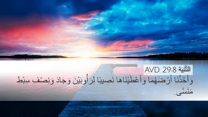 اَلتَّثْنِيَة 29:8 AVD Bible Verse Image